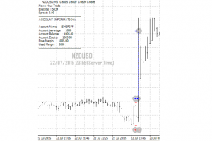 News Hour Trade EA System for MT4